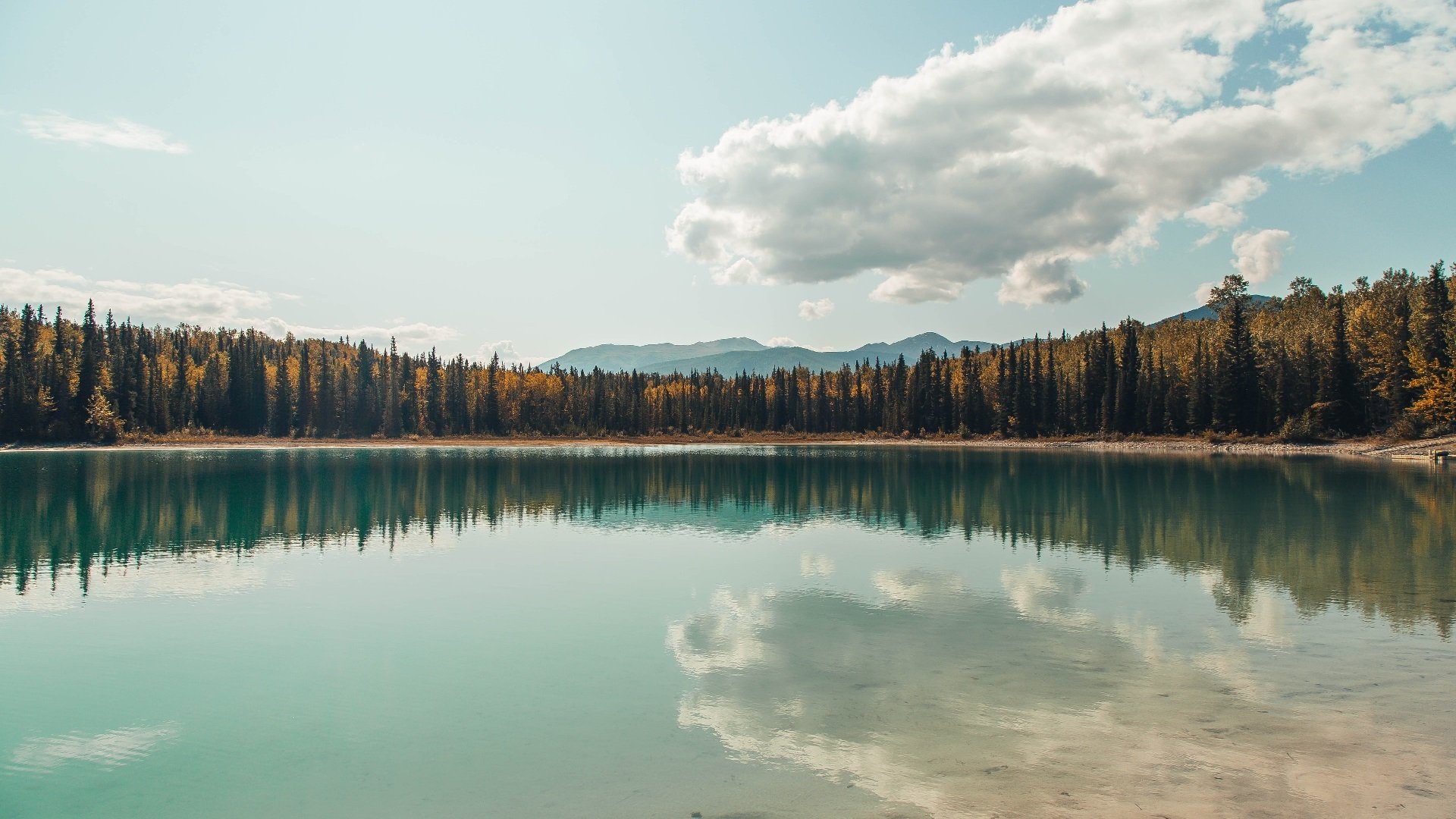 “费尔南多·比亚尔巴的突破性表现，让阿根廷橄榄球焕发新生”