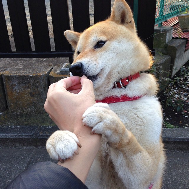 开云体育官网上-中国足球职业联赛球队阵容深度提升，中国足球队队阵容